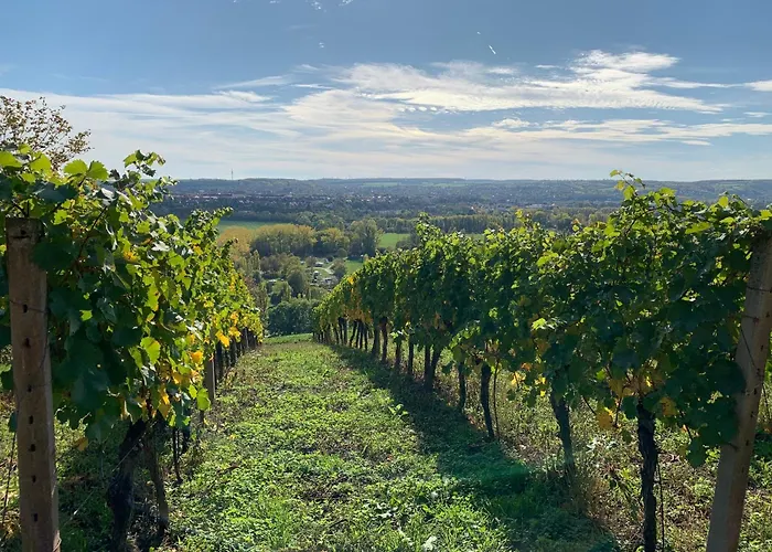 Brix 公寓 萨勒河畔瑙姆堡